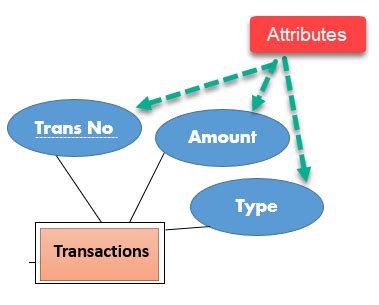 Image result for Attributes Types