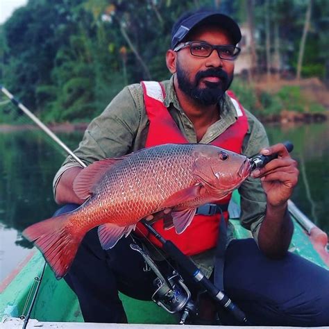 Profile & Contact Details of Nizam Vlogs