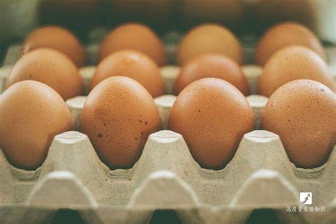 如何快速分辨鸡蛋新不新鲜？教你不用打开鸡蛋一秒就知道！