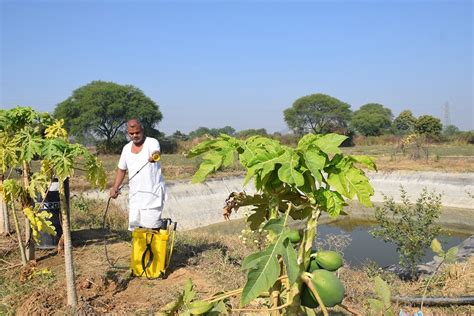 Natural Farming Methods 的图像结果