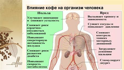 Влияние кофе на печень: как влияет, польза и вред