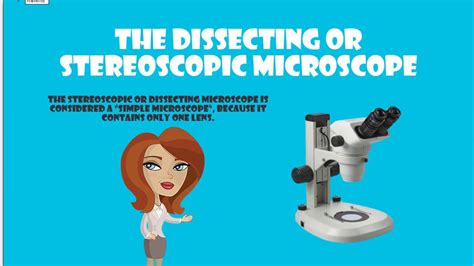 Image result for Compound vs Dissecting Microscope