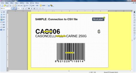 NiceLabel Excel Spreadsheet 的图像结果