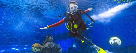 Binhai New Area/Tanggu Travel Guide 2026: Top Attractions, Things to Do ...