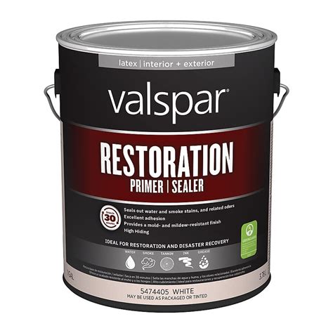 Valspar Interior Multi-purpose Water-based Wall and Ceiling Primer ( 1 ...