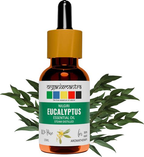 Pure Source India Citronella Aroma Oil 100 Ml, Packed in dropper type ...