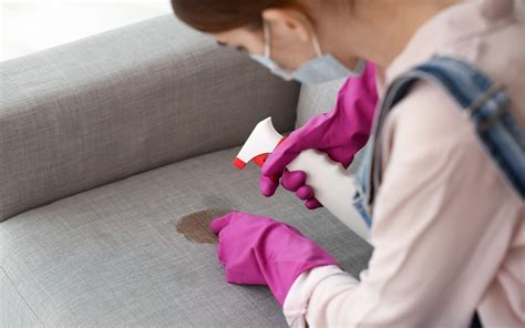 Image result for Stain Removal Reference Guide