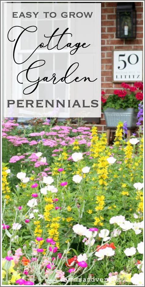 Cottage Garden Perennials 的图像结果