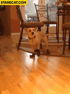 Dog Fondant Tutorial 的图像结果