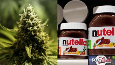 Pot-infused Nutella the ultimate munchies cure? | Fox News Video