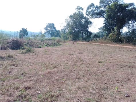 1 Acre Agricultural/Farm Land for Sale in Murbad MIDC, Thane - by Shree ...