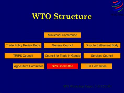 Features of WTO 的图像结果