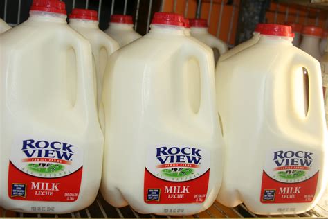 File:Milk jugs in a row.jpg - Wikimedia Commons