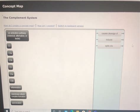 Image result for The Complement System Concept Map