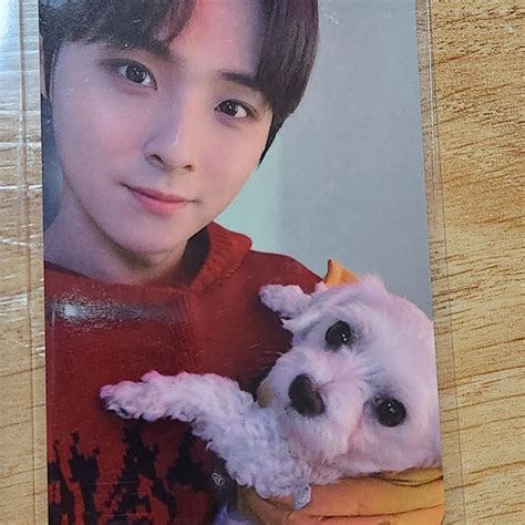 DKZ LUCKYDRAW PHOTOCARD X EVERLINE IT'S ALL | Ubuy India