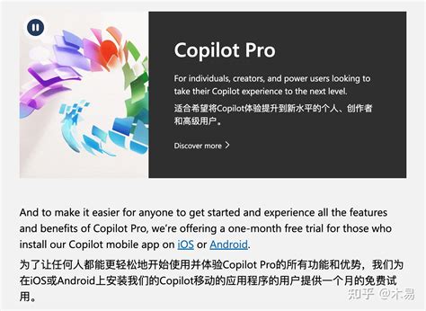 Co-Pilot Pro Review 的图像结果