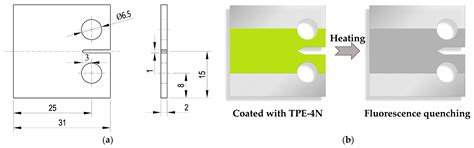 Determination of Crack Tip Plastic Zone Using Dynamically Visible ...
