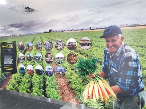 Image result for SignLab Working with Wrap Design