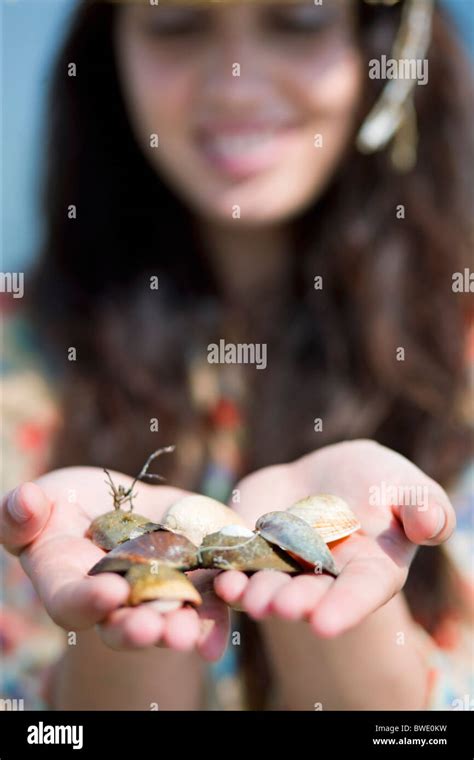 Finding Sea Shells 的图像结果