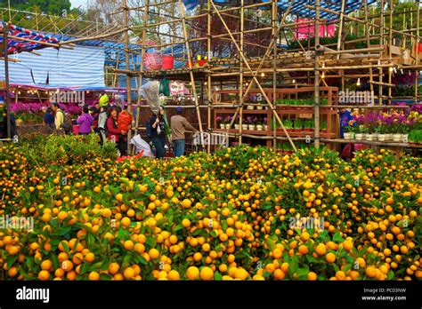 Visit the Flower Market in New Year 的图像结果