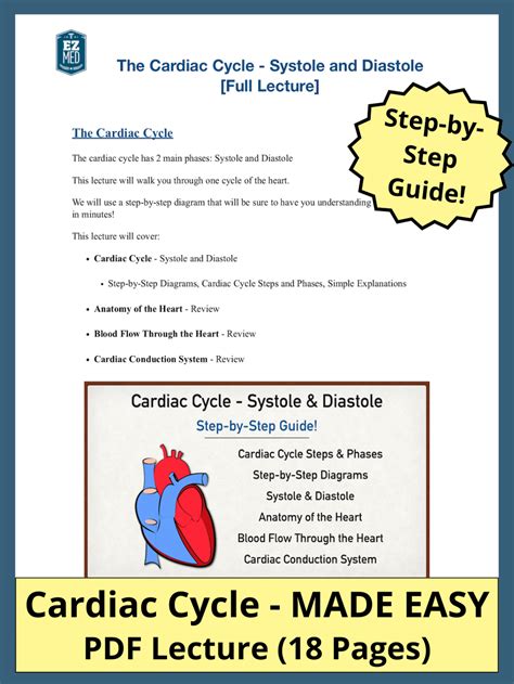 Cardiac Cycle Explained 的图像结果