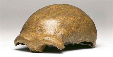 Mystery of the Neanderthals: 75,000 साल पहले इंसान कैसा दिखता था?