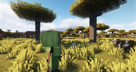 Image result for How Do You Go in Third Person in Minecraft Java Edition