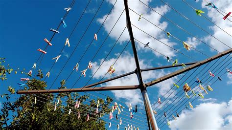 Image result for Washing Line