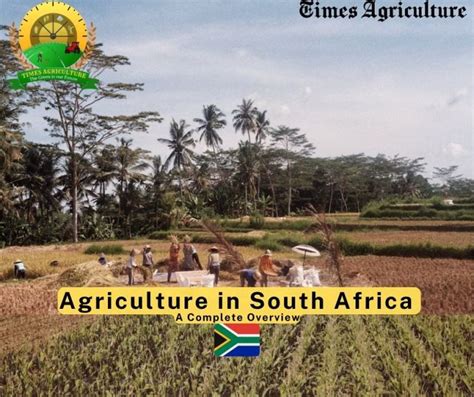 Agriculture in Africa 的图像结果