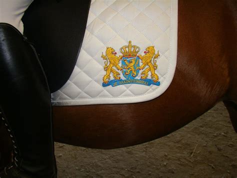 Emblems in action | Emblemen en Badges