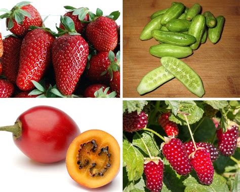 29 Fruits that Start with N with Facts and Pictures - Richmond Mom