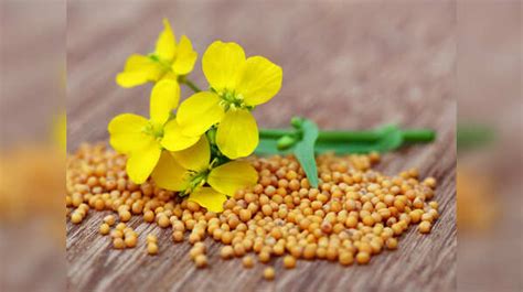 Include these winter foods in your diet to keep illnesses at bay