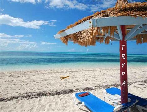 Spring Break Beach Escape 的图像结果