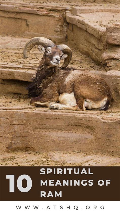 Ram Symbolism: 10 Spiritual Meanings of Ram