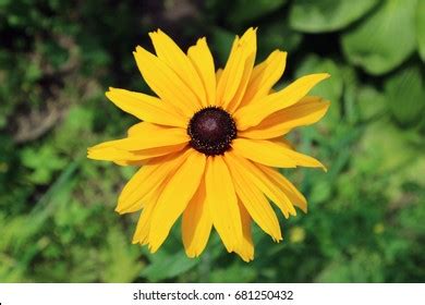 Image result for Basic Machine Learning Application Design Sample