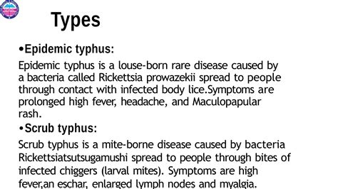 Typhus fever Submitted to Submitted by.pptx | Infectious Diseases | Diseases and Conditions