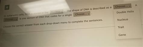 Solved: In eukaryotic cells, DNA is stored in the Nucleus v. The shape ...