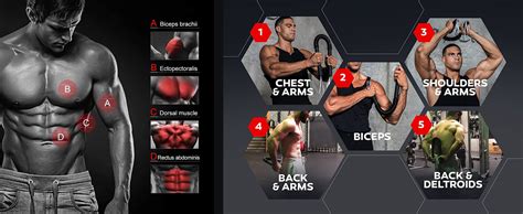 FirstFit Python Power Twister Bar | Upper Body Exercise for Chest ...
