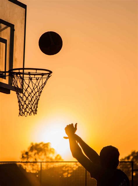 Basketball Drawing Reference 的图像结果