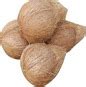 Fully Husked Coconut buy in Tiruppur