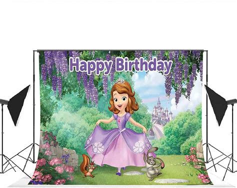 Buy Dawei Sofia The First Backdrop | Birthday Party Background Supplies ...