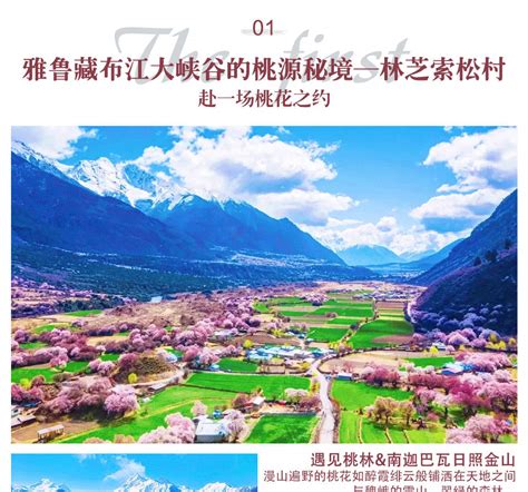 Nyingchi Peach Blossom Luxury 6 Days (Nangabawa Sunshine Golden ...