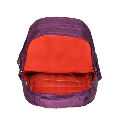 Buy Lavie Sport Purple Darwin Backpack Online