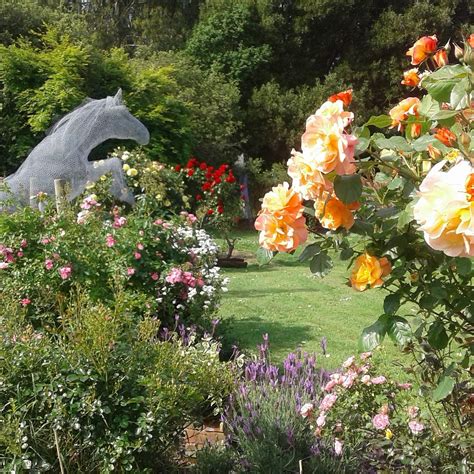 SCULPTURE GARDEN CHICKEN WIRE CREATIONS (2026) All You Need to Know ...