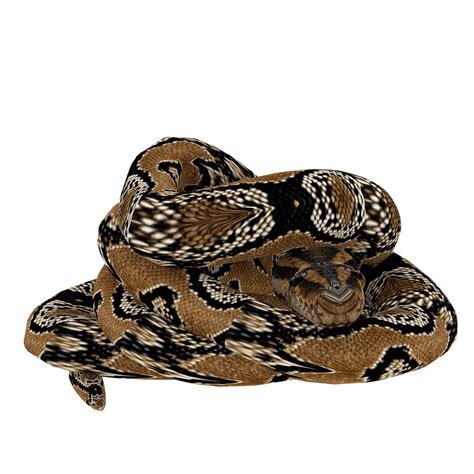 Image result for Python Create 3D Model From