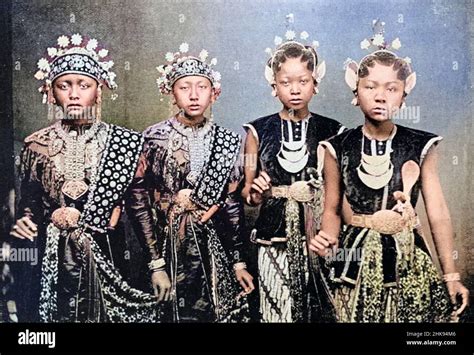 Image result for Java Ethnic Book