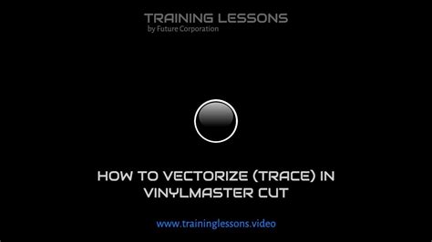 VinylMaster Vectorizing 的图像结果