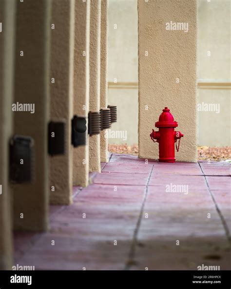 Cactus Flower, Spanish Bell Tower, Organ Mountains, Fire Hydrant ...