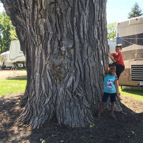 TOWN & COUNTRY CAMPGROUND (Savage) - Campground Reviews & Photos ...