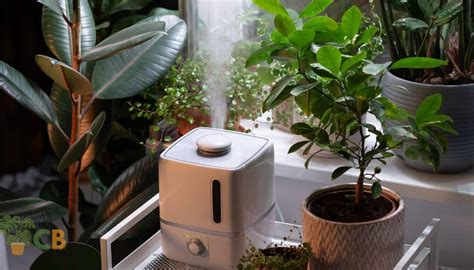 Best Humidifier For Plants: Top Picks For Healthy Indoor Greenery